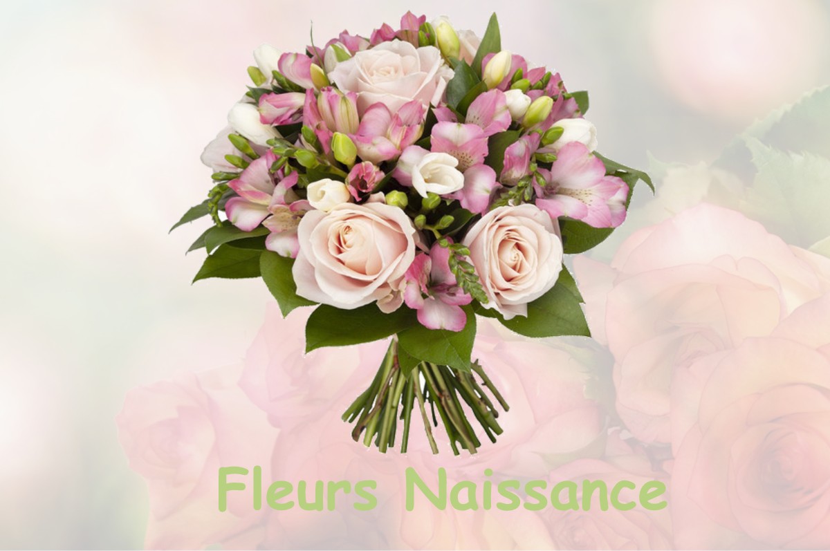fleurs naissance BESSAIS-LE-FROMENTAL